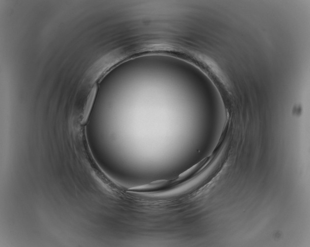 X0000091221225200708161650