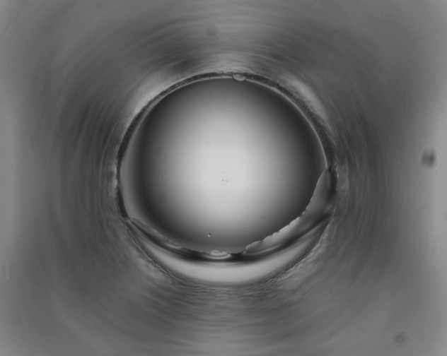 X0000091221226200708161650