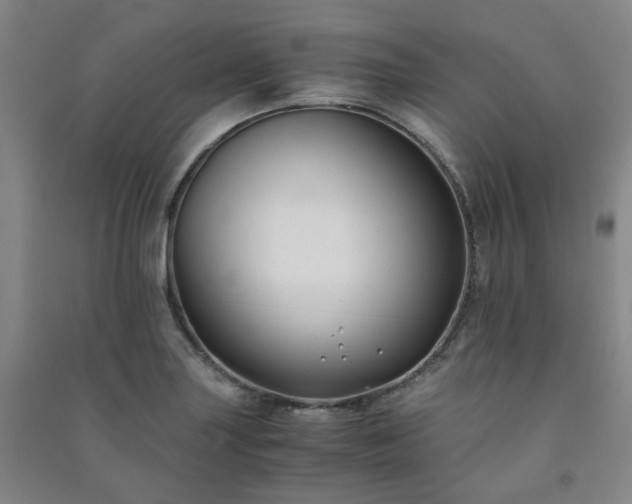 X0000091221227200708161650