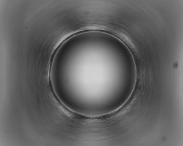 X0000091221228200708161650