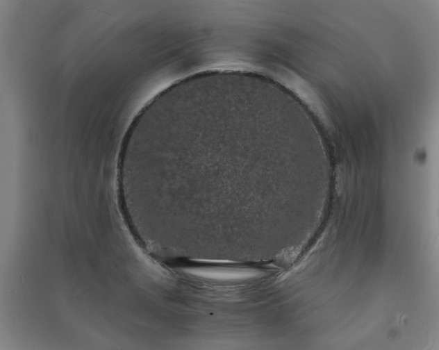 X0000091221229200708161650