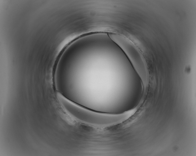 X0000091221230200708161650