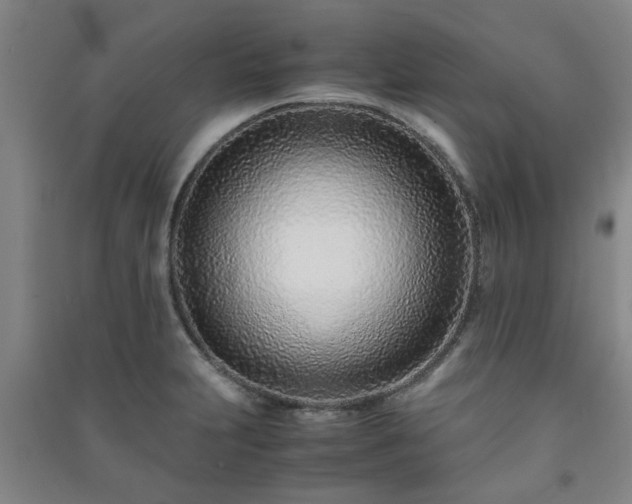 X0000091221231200708161650