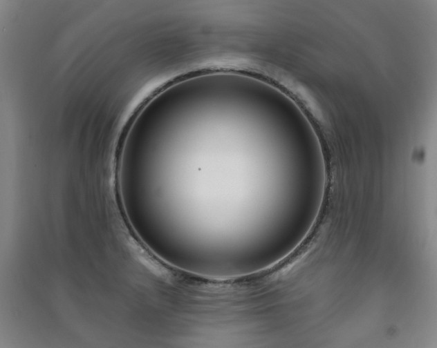 X0000091221232200708161650