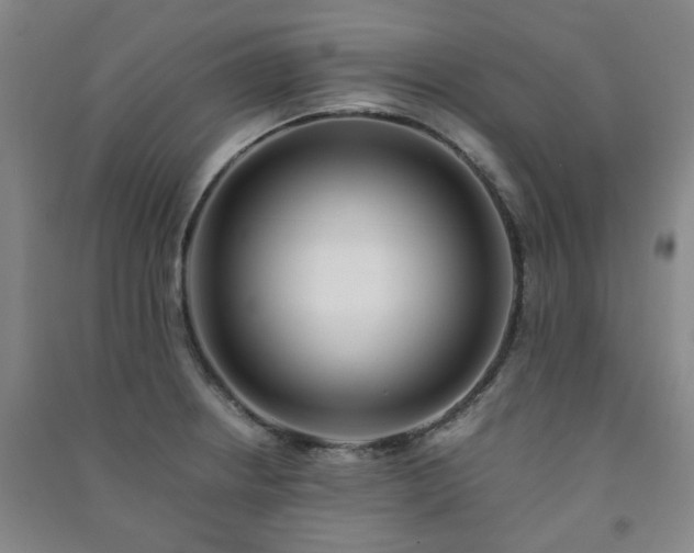 X0000091221234200708161650