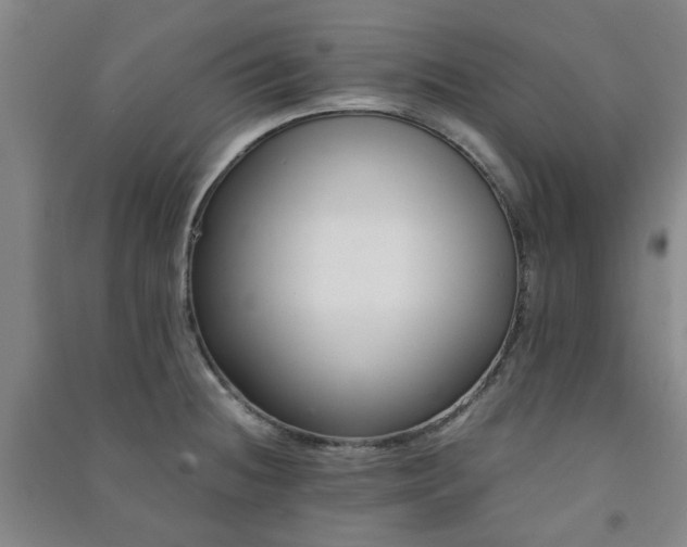 X0000091221236200708161650