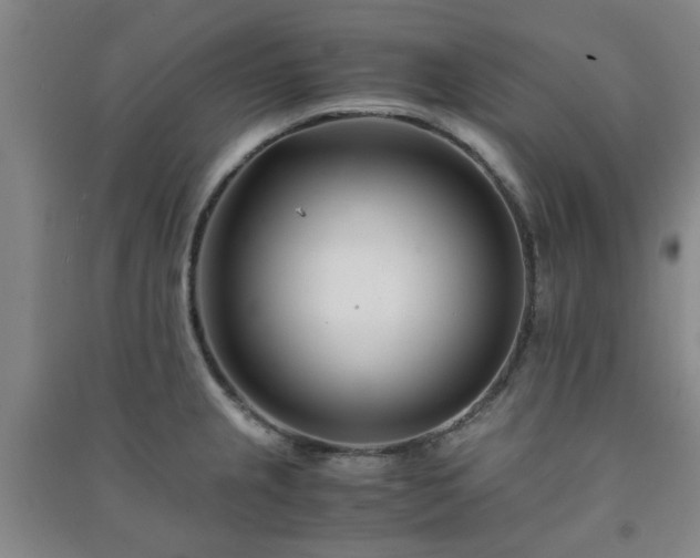 X0000091221237200708161650