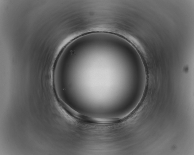 X0000091221238200708161650