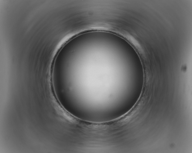 X0000091221240200708161650