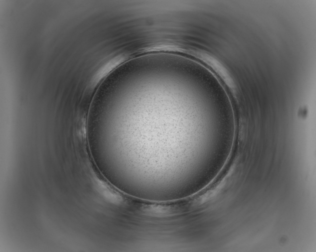 X0000091221241200708161650