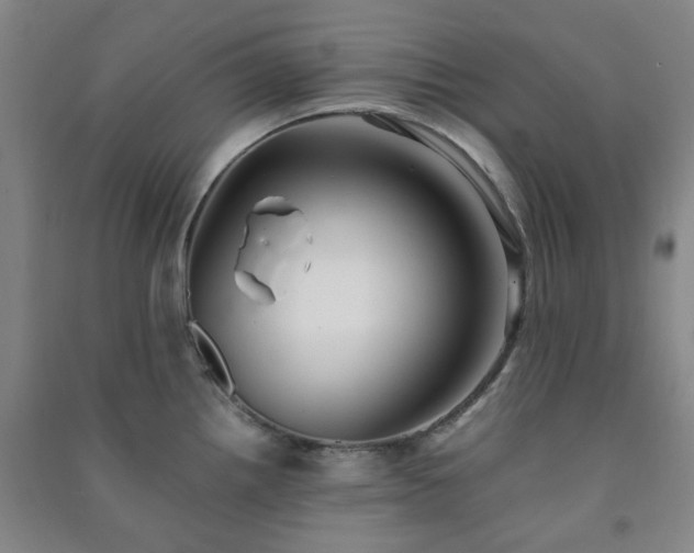 X0000091221242200708161650