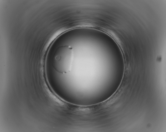 X0000091221243200708161650