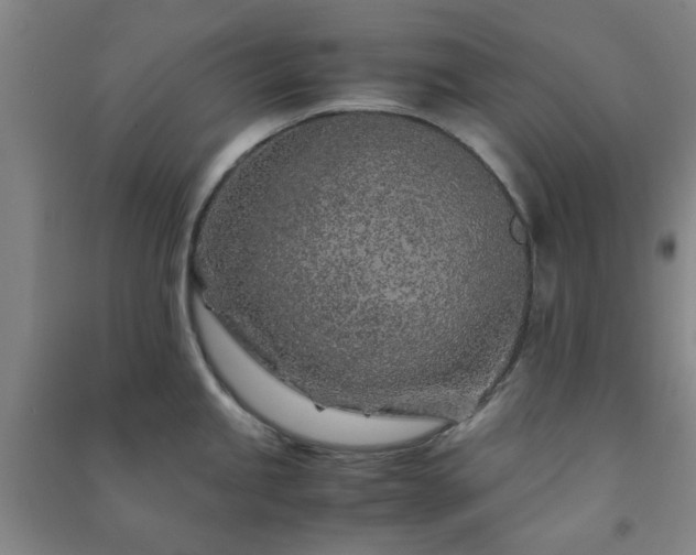 X0000091221245200708161650