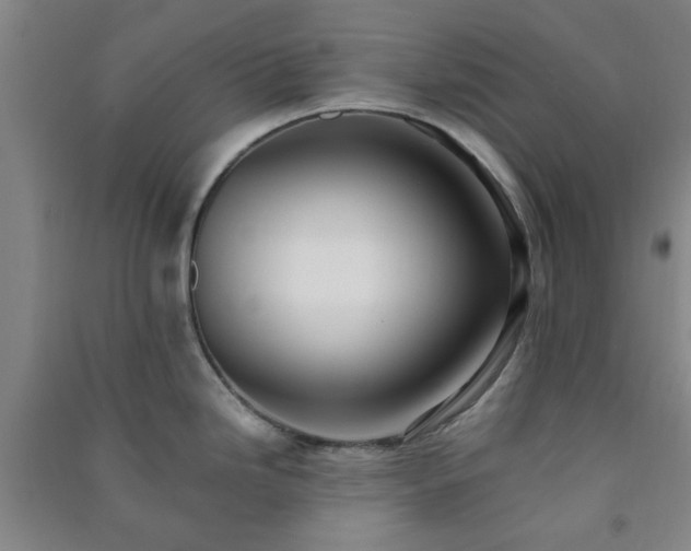 X0000091221246200708161650