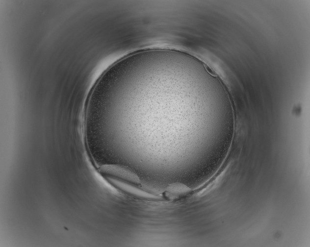 X0000091221247200708161650