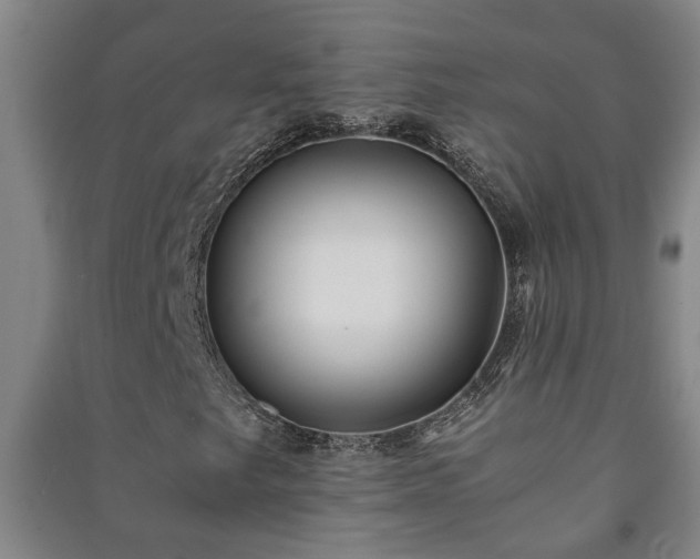 X0000091221249200708161649