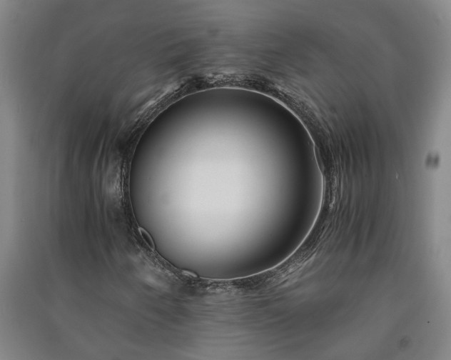 X0000091221250200708161649