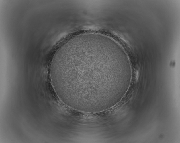 X0000091221254200708161649