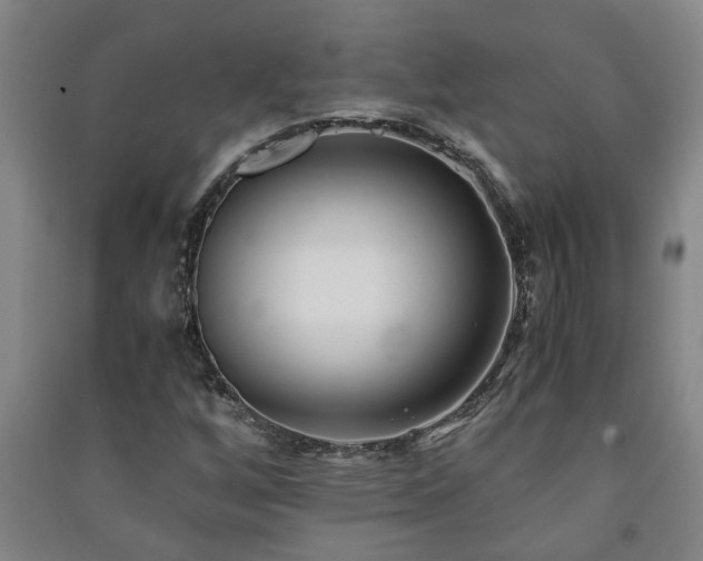 X0000091221256200708161649