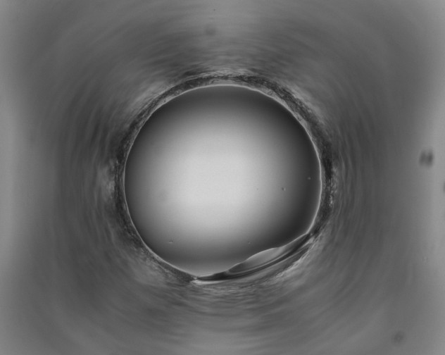 X0000091221257200708161649