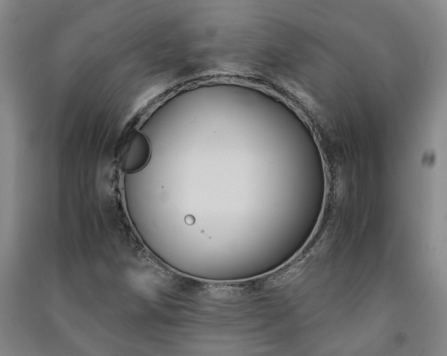 X0000091221258200708161649