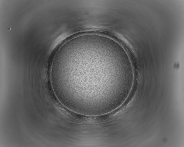 X0000091221259200708161649