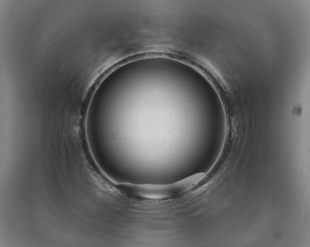 X0000091221260200708161649