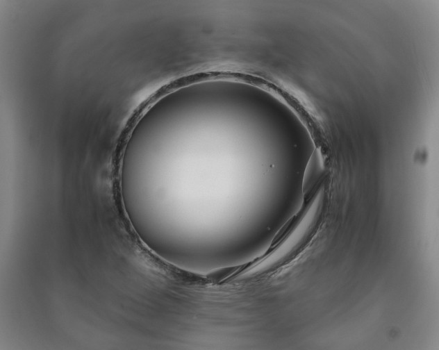 X0000091221264200708161649