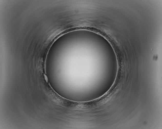 X0000091221265200708161649