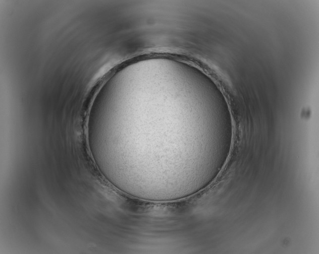 X0000091221266200708161649