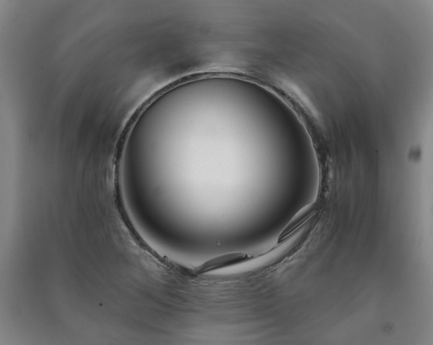 X0000091221268200708161649