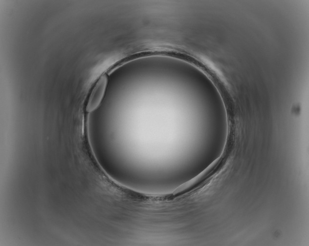 X0000091221269200708161649