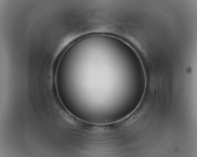 X0000091221270200708161649