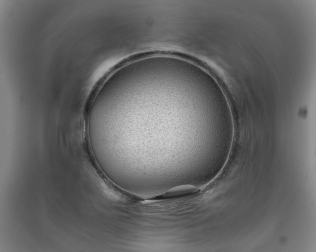 X0000091221271200708161649