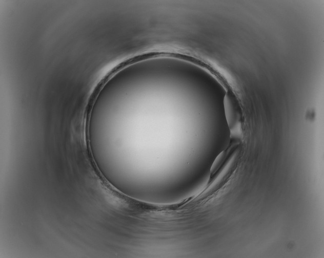 X0000091221272200708161649