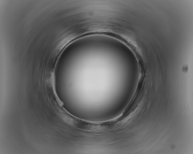 X0000091221273200708161649