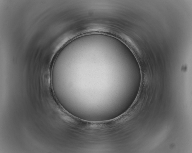 X0000091221274200708161649