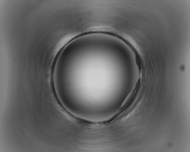 X0000091221277200708161649