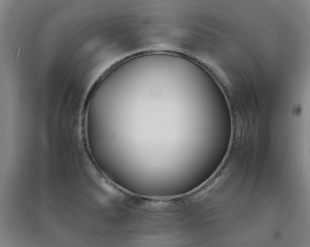 X0000091221278200708161649