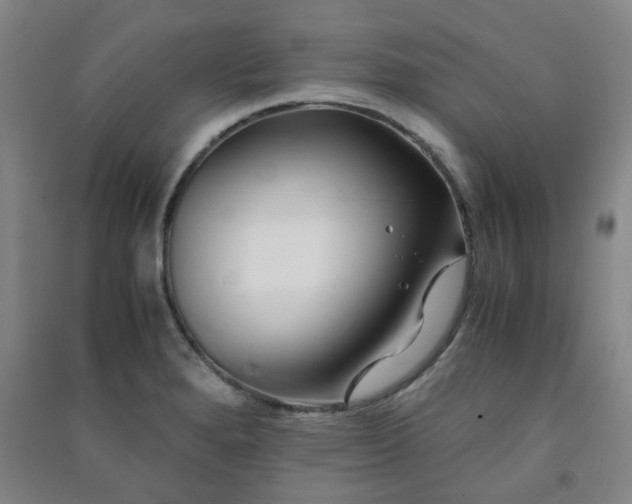 X0000091221280200708161649