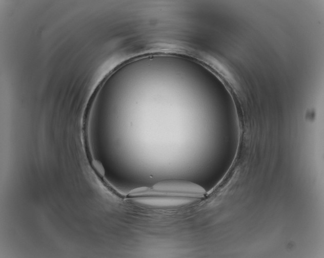 X0000091221283200708161649