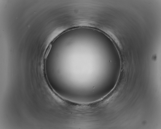 X0000091221285200708161649