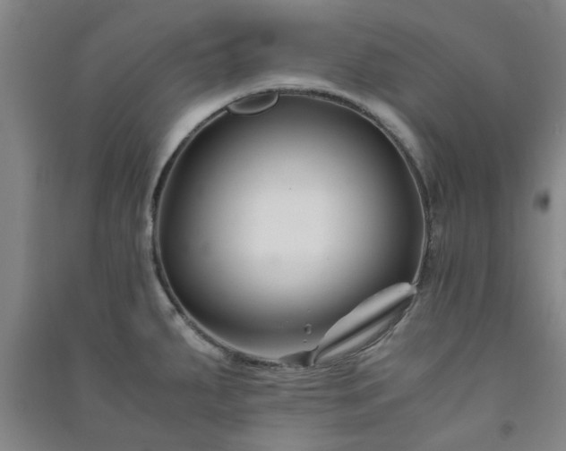 X0000091221287200708161649