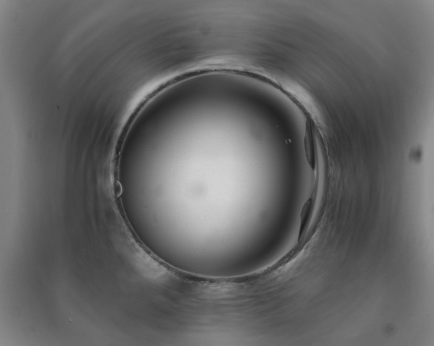 X0000091221288200708161649