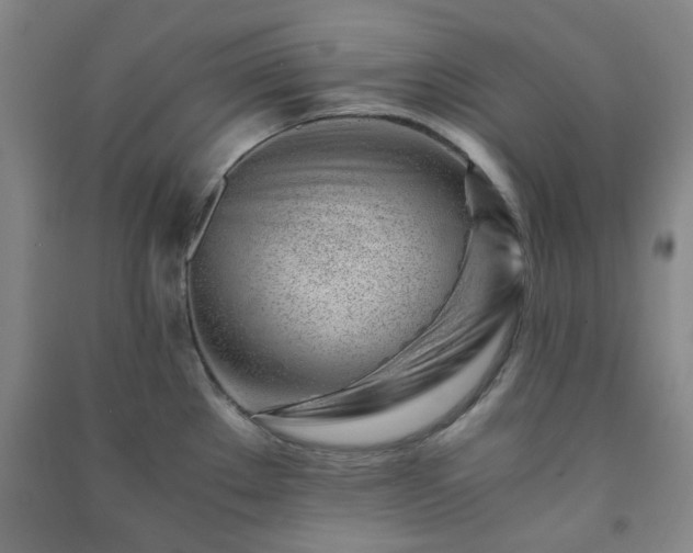 X0000091221289200708161649