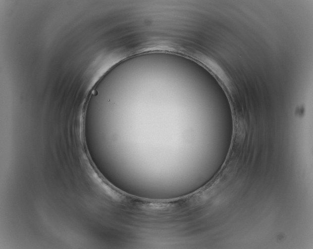 X0000091221290200708161649