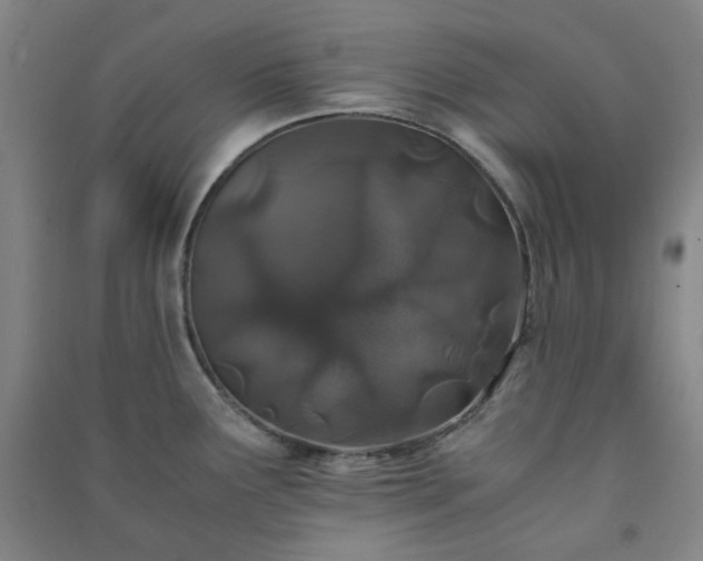 X0000091221291200708161649