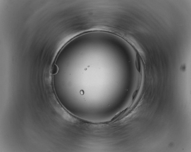 X0000091221292200708161649