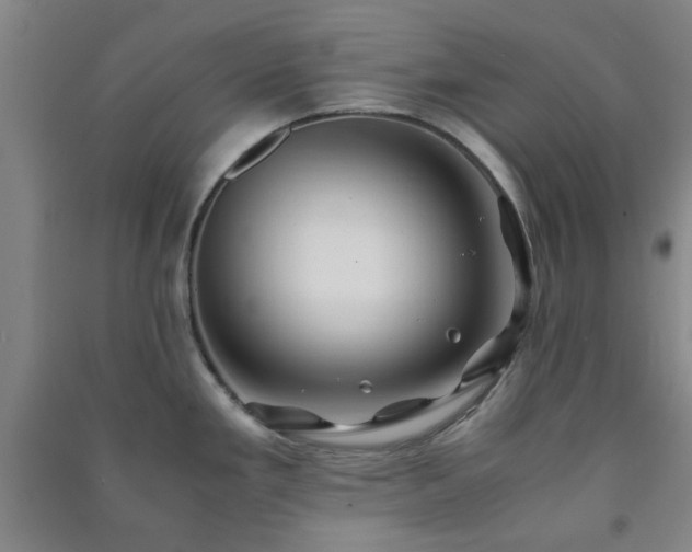 X0000091221293200708161648