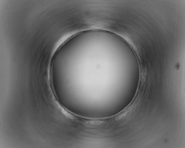 X0000091221294200708161648